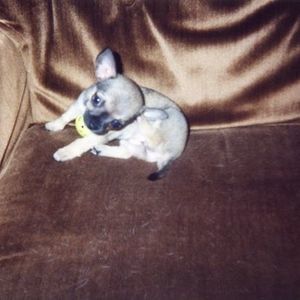 Meet your Posher, Bernice